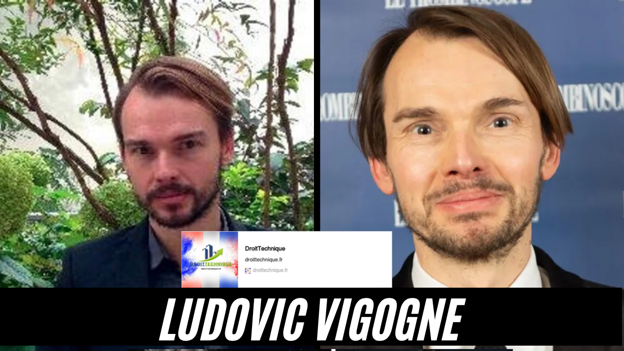 ludovic vigogne